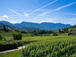 Wein- und Obstanbau in Südtirol