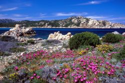 Sardinien - malerische Costa Smeralda