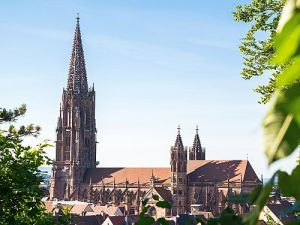 Münster in Freiburg © FWTM Bender