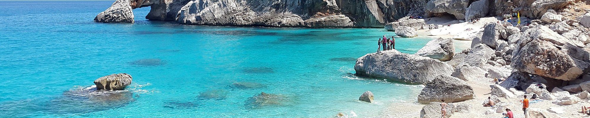 Sardinine © Simon auf Pixabay
