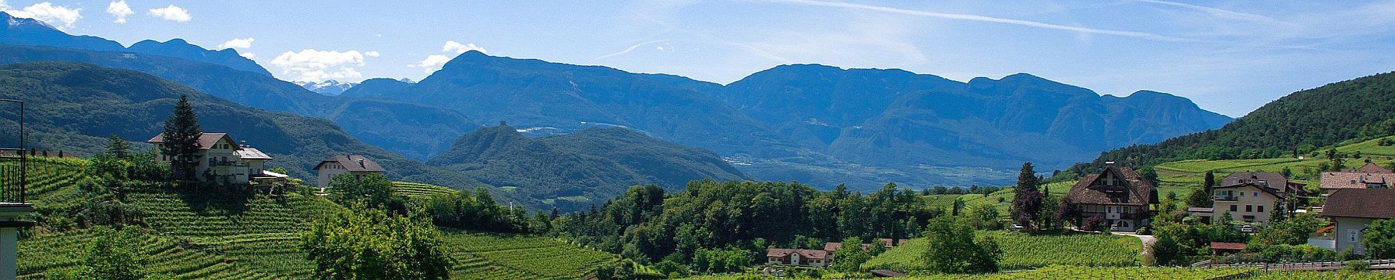 Wein und Obst in Südtirol